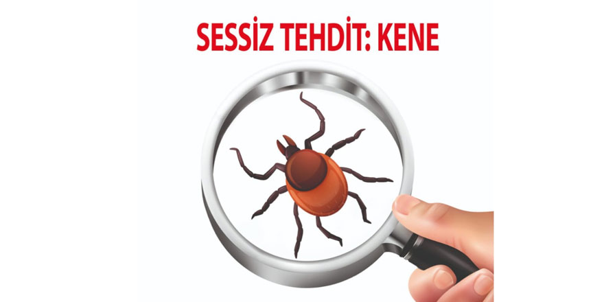 Sessiz Tehdit: KENE