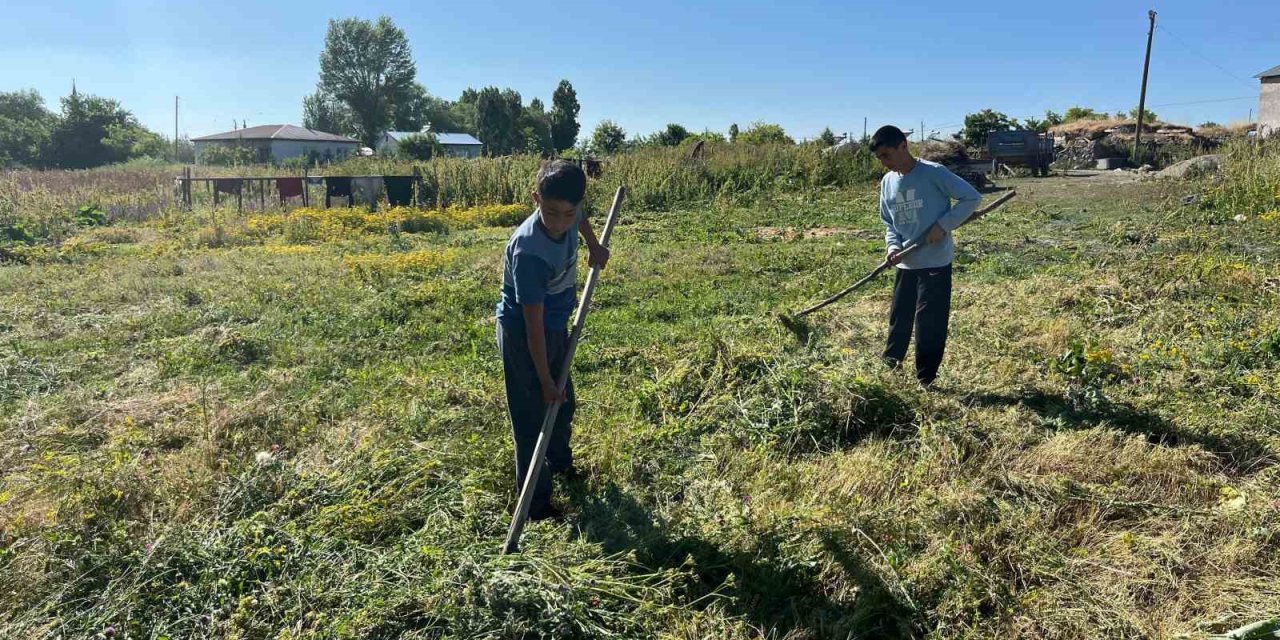 Akyaka’da ot biçimi başladı