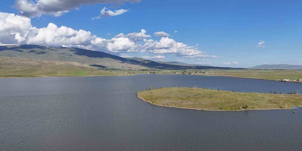 Patnos Barajı’nda balık çeşitliliği azalıyor