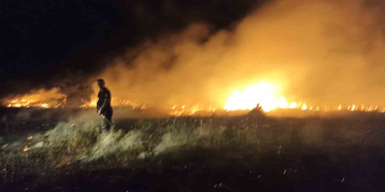 Akçadağ’da bahçe ve sazlık yangını: 25 Kayısı ağacı zarar gördü