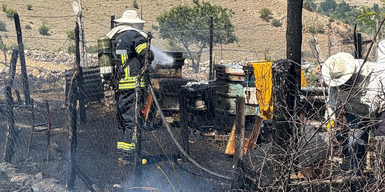 Arı kovanları yandı