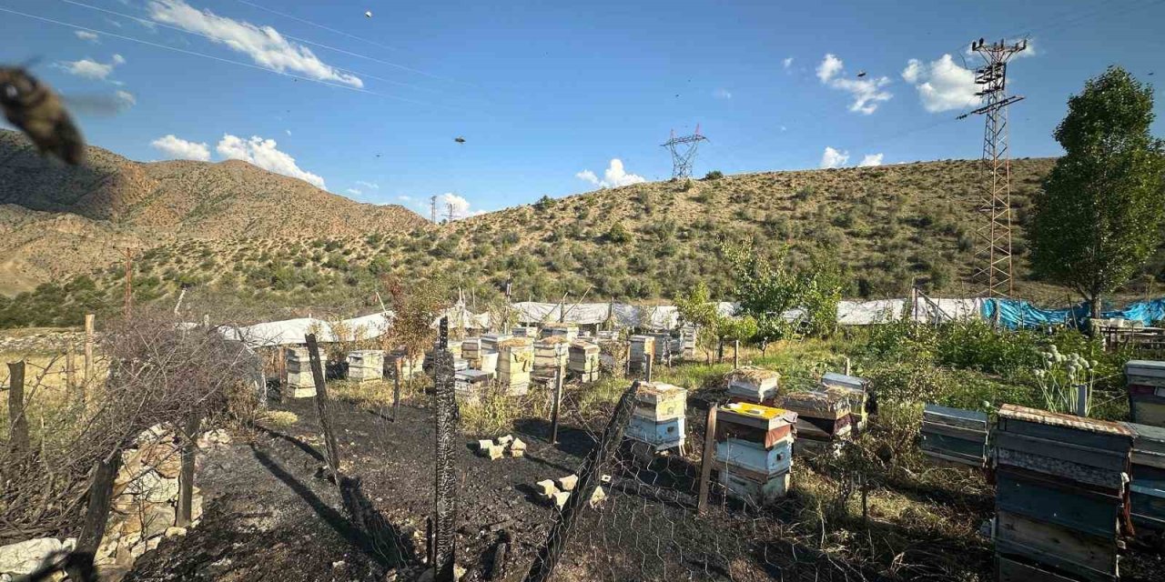 Oltu’da yangın faciası: 30 arı kovanı telef oldu