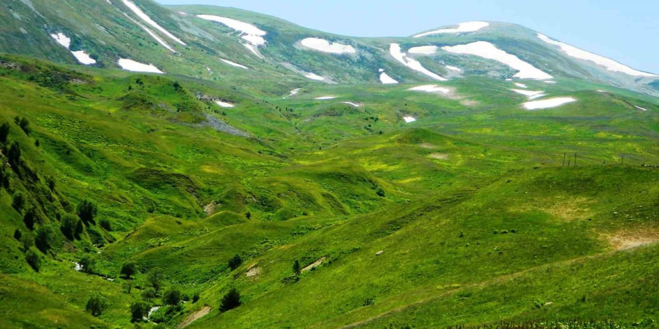 Posof’ta yayla mevsimi başladı