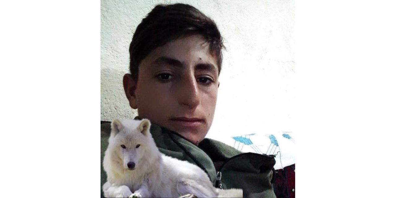 Muş’ta iş kazası: 20 yaşındaki genç hayatını kaybetti