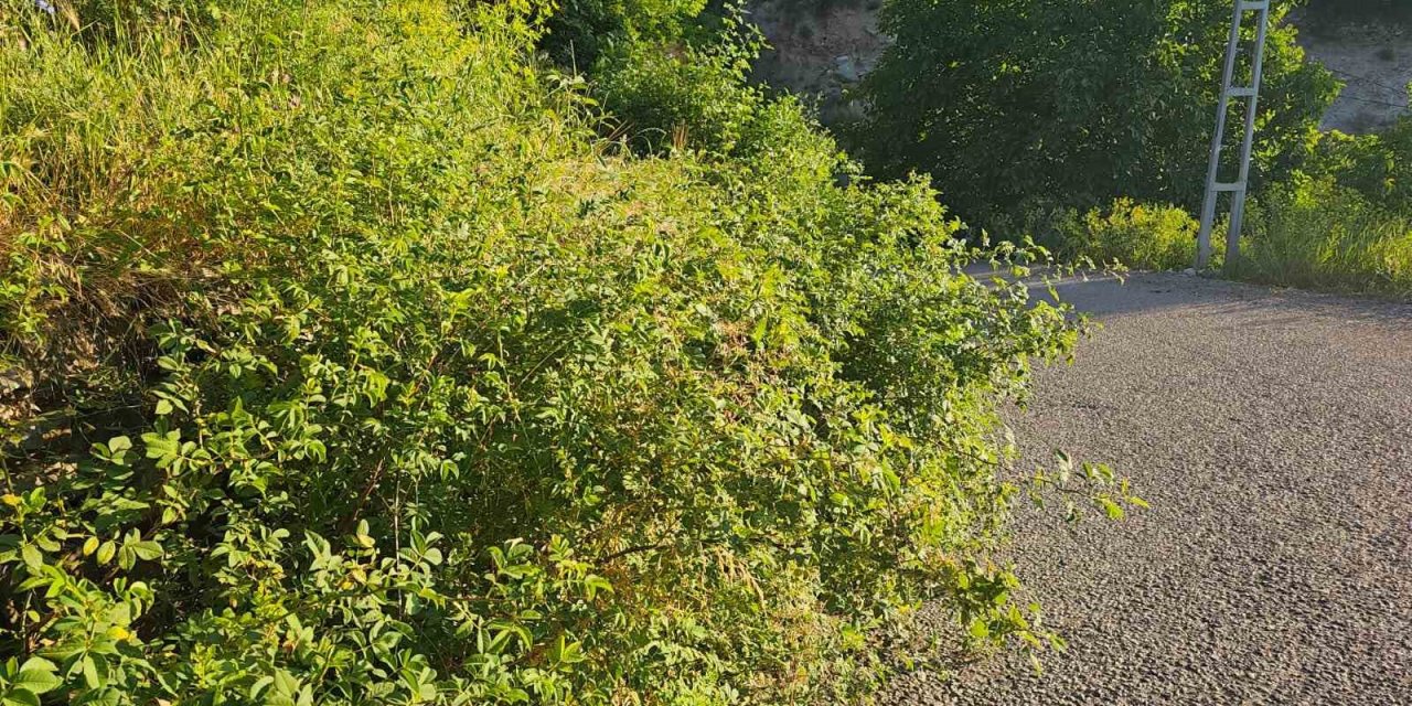 İspir’de görmezden gelinen tehlike