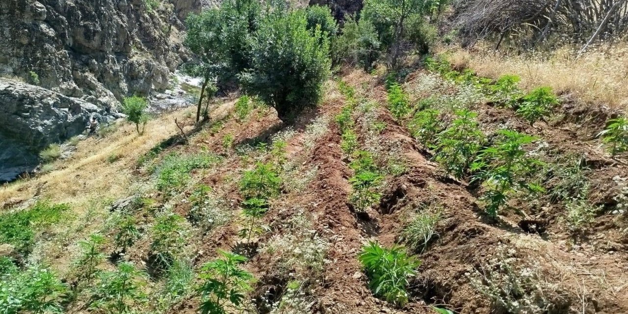 Bingöl’de uyuşturucu operasyonu