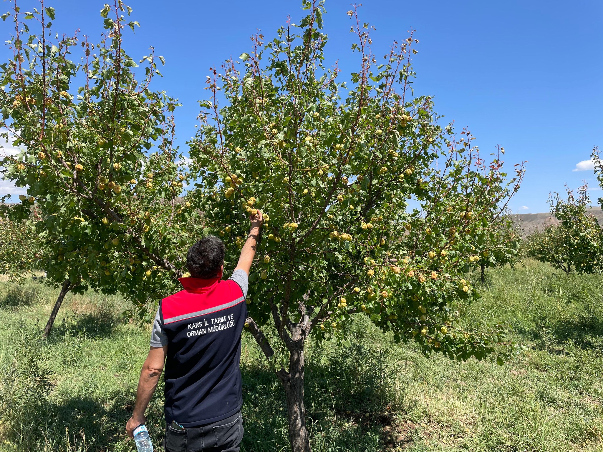 Kars’ta Doludan Etkilenen Köylerde İnceleme Başlatıldı