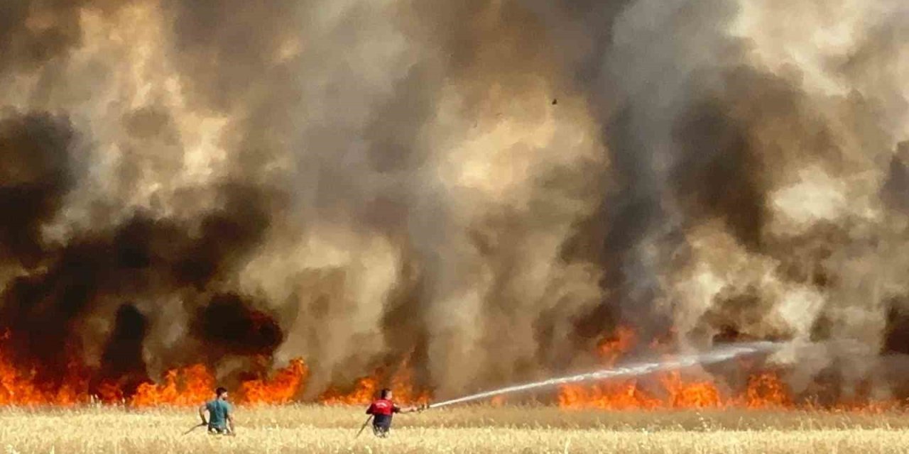 Elazığ’da arazi yangını: Ekili alanlar da küle döndü