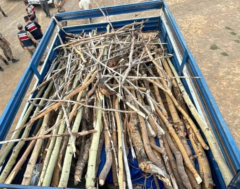 Nemrut Kalderası’nda kaçak ağaç kesimi yapan 3 kişi yakalandı