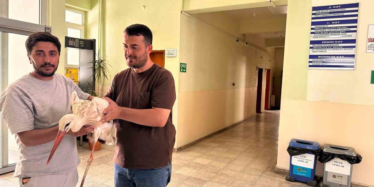 Bingöl’de yaralı leylek koruma altına alındı