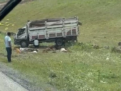 Sarıkamış’ta kamyonet devrildi