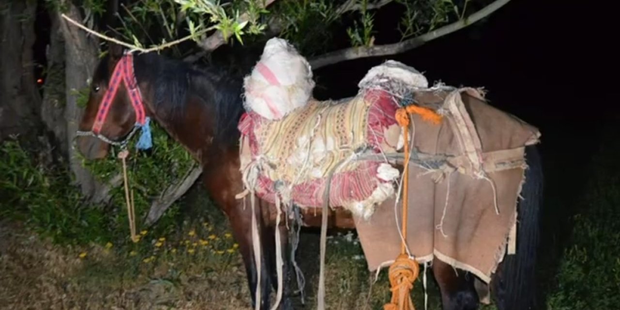 İran’dan katırla yurda sokulan 97 kilogram uyuşturucuya 1 gözaltı