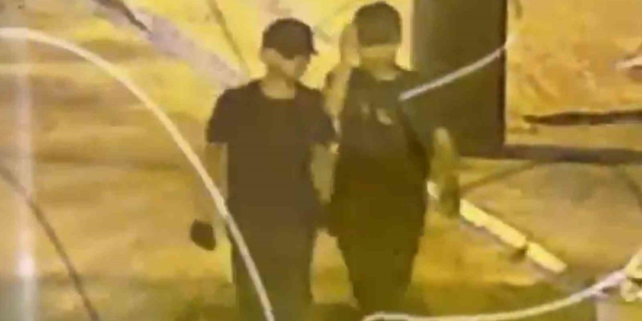 Bingöl’de hırsızlık yapan 2 şüpheli yakalandı