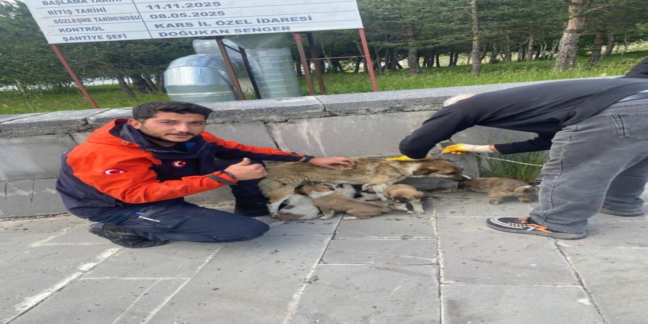 Kars’ta soba bacasına düşen yavru köpekler kurtarıldı