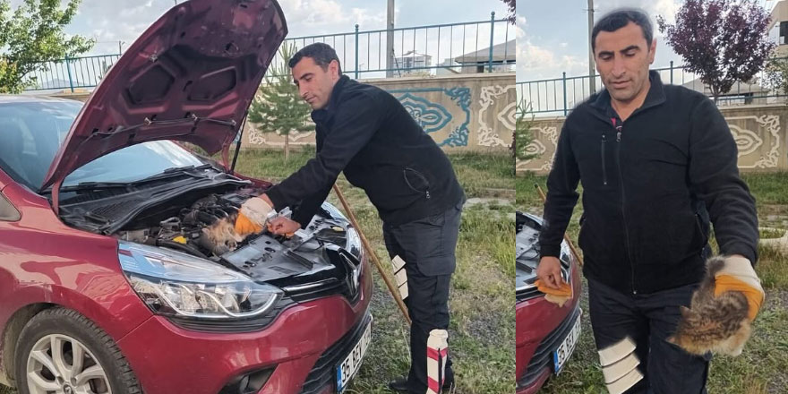 Araç İçine Sıkışan Kedi, İtfaiye Ekipleri Tarafından Kurtarıldı