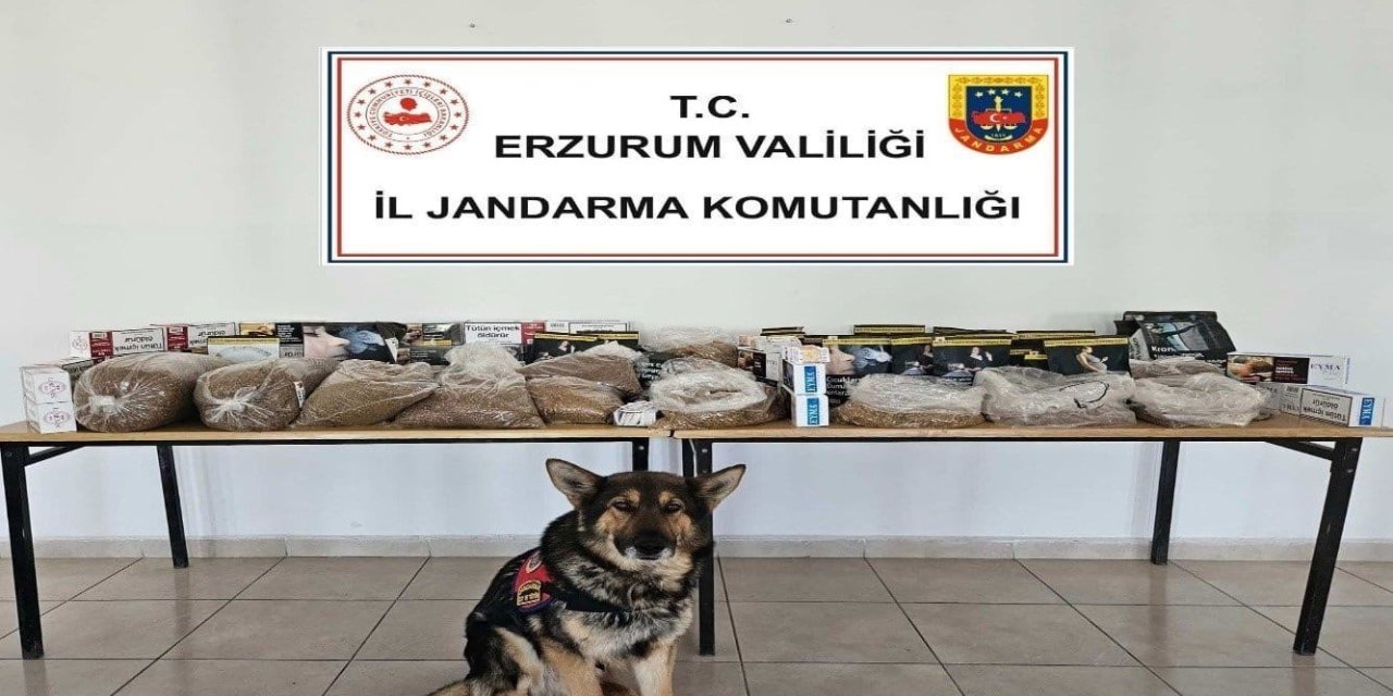 Jandarmadan kaçakçılara operasyon