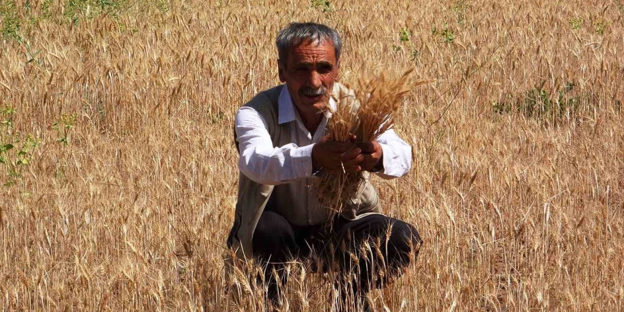 Vanlı çiftçiler sulama göleti istiyor