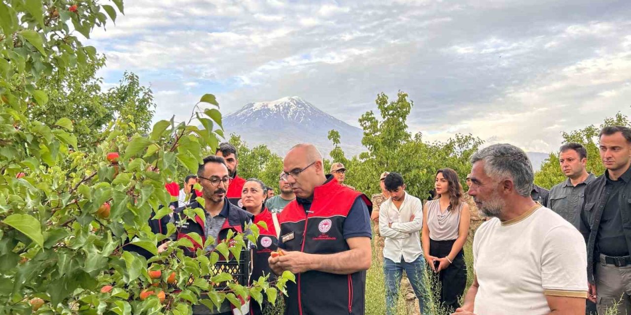 Ağrı Valisi Koç, Doğubayazıt’ta bir dizi incelemelerde bulundu