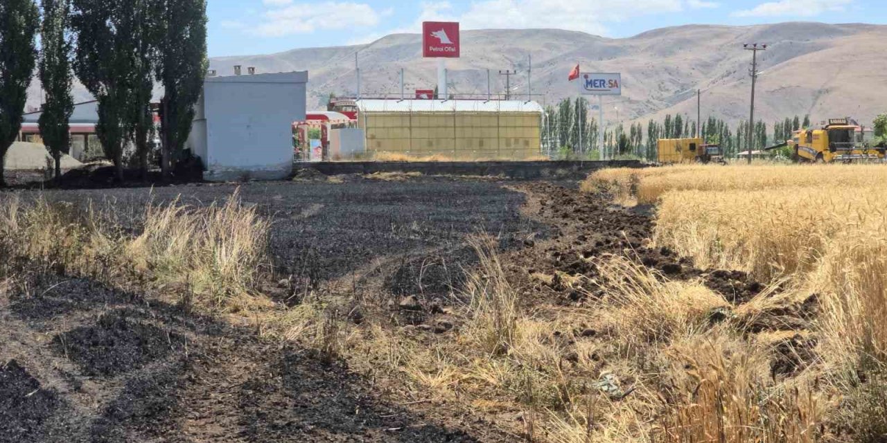 Elazığ’da 23 dönüm buğday, yanarak kül oldu