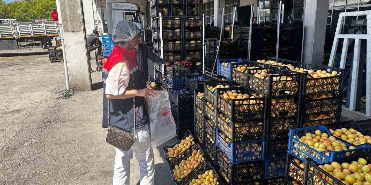 Erzurum’da gıda satan işyerleri denetlendi