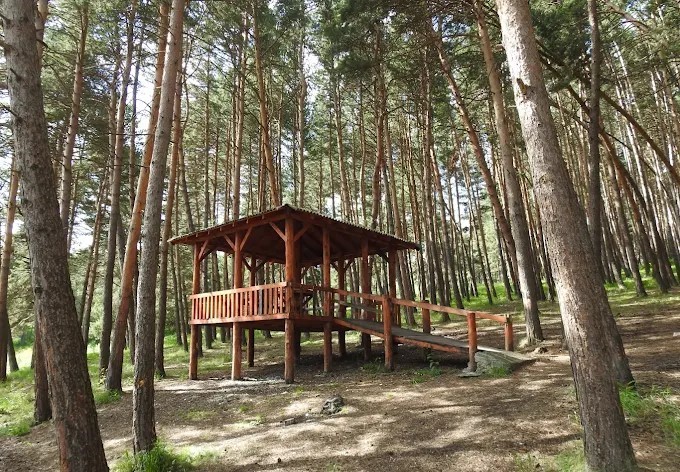 Ardahan’da ormanlara giriş yasaklandı