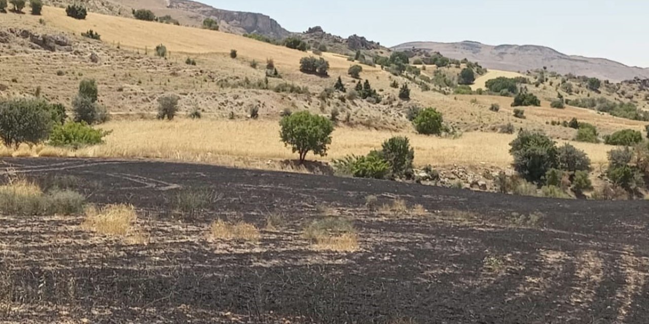 Tunceli’de 34 dönüm arpa yangında kül oldu