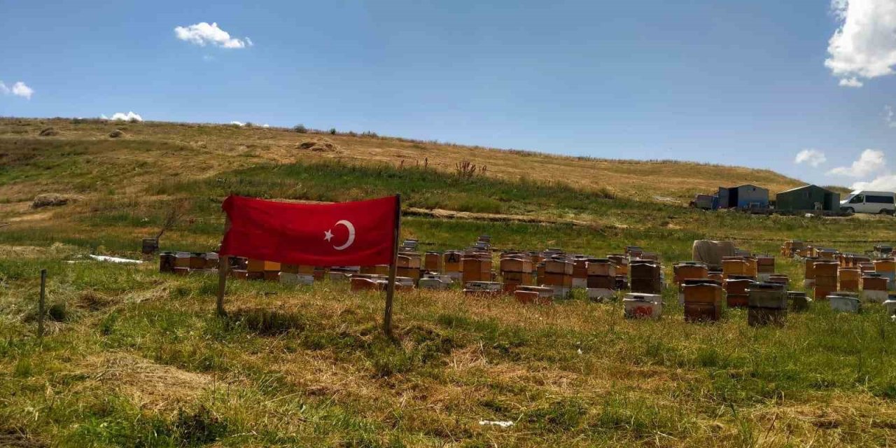 Ağrı ay yıldızlı bayraklarla donatıldı