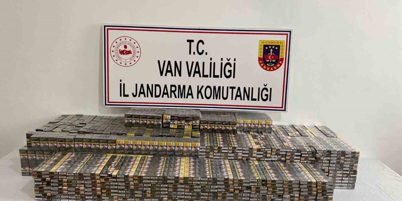 Van’da gümrük kaçakçılığı operasyonu