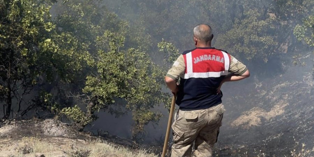 Tunceli’de otluk ve ormanlık alanda yangın