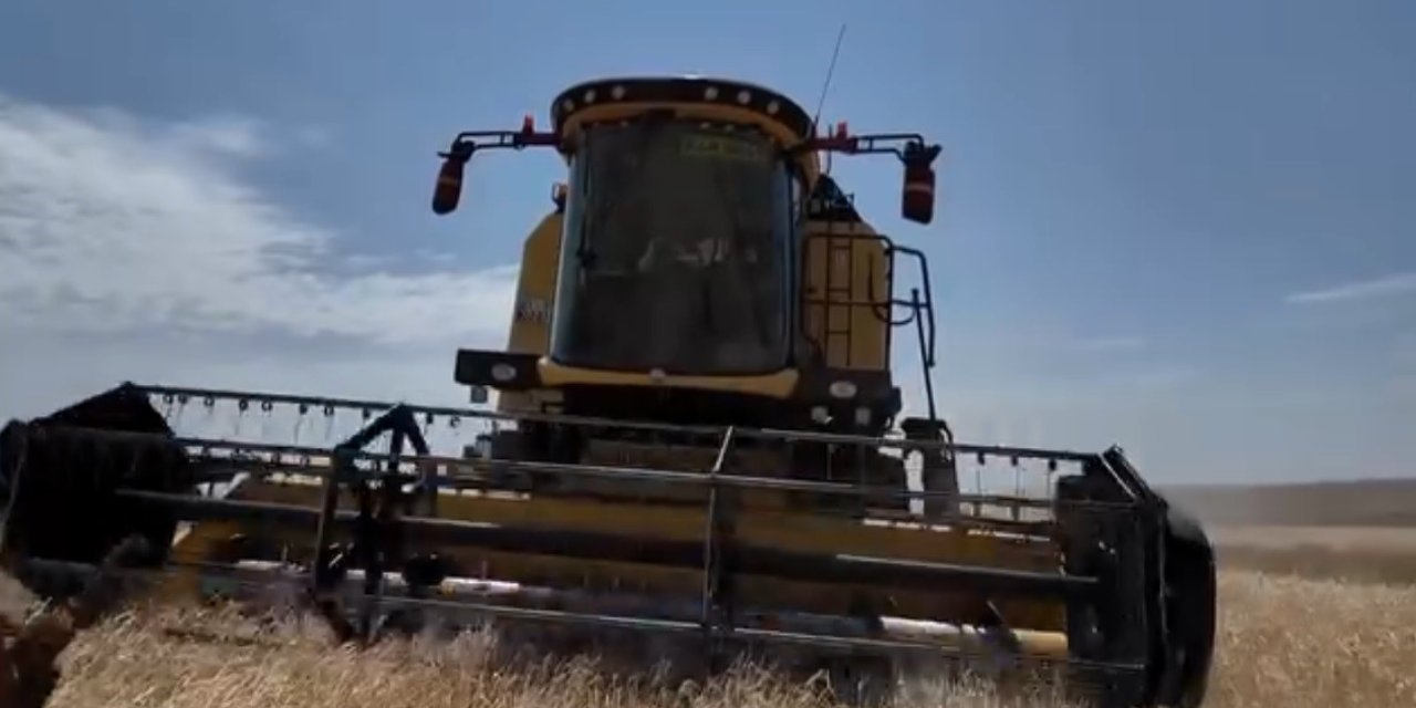 Kars’ta hasat mevsimi başladı