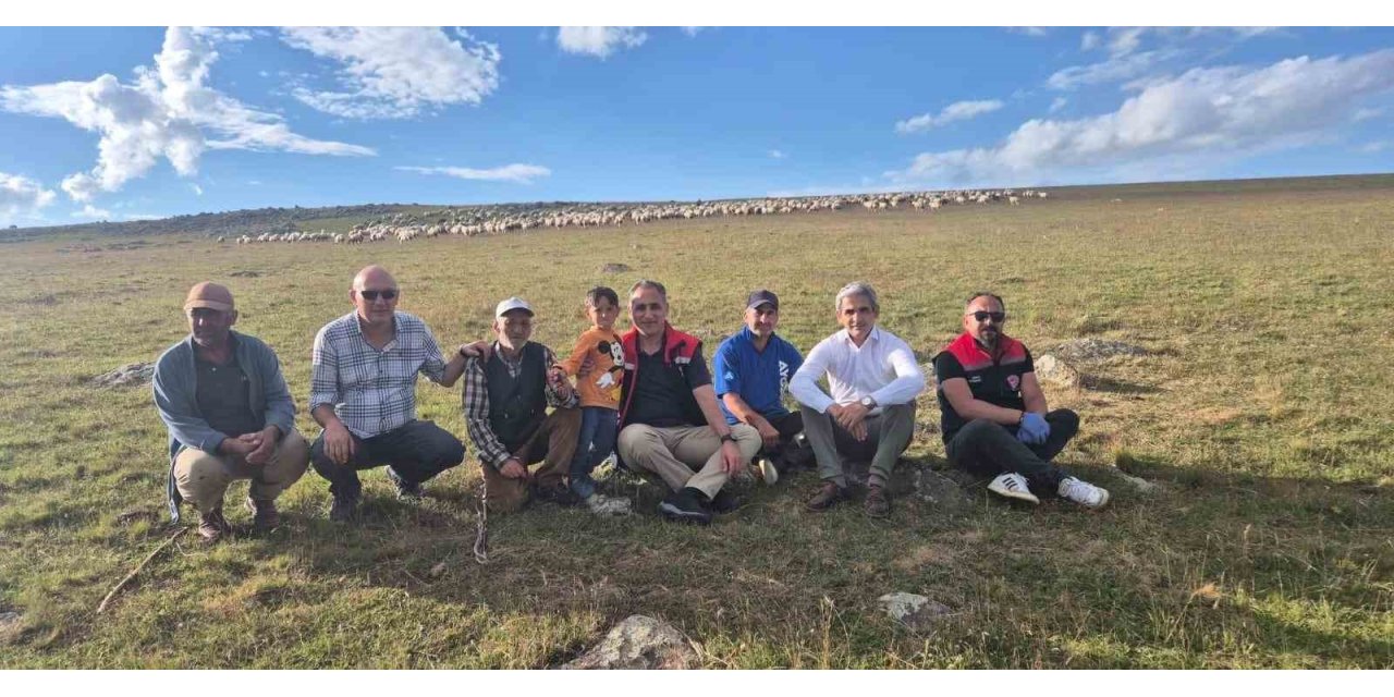 Kars Tarım ve Orman Müdürü Aydın 2 bin 600 rakımlı yaylalarda incelemelerde bulundu