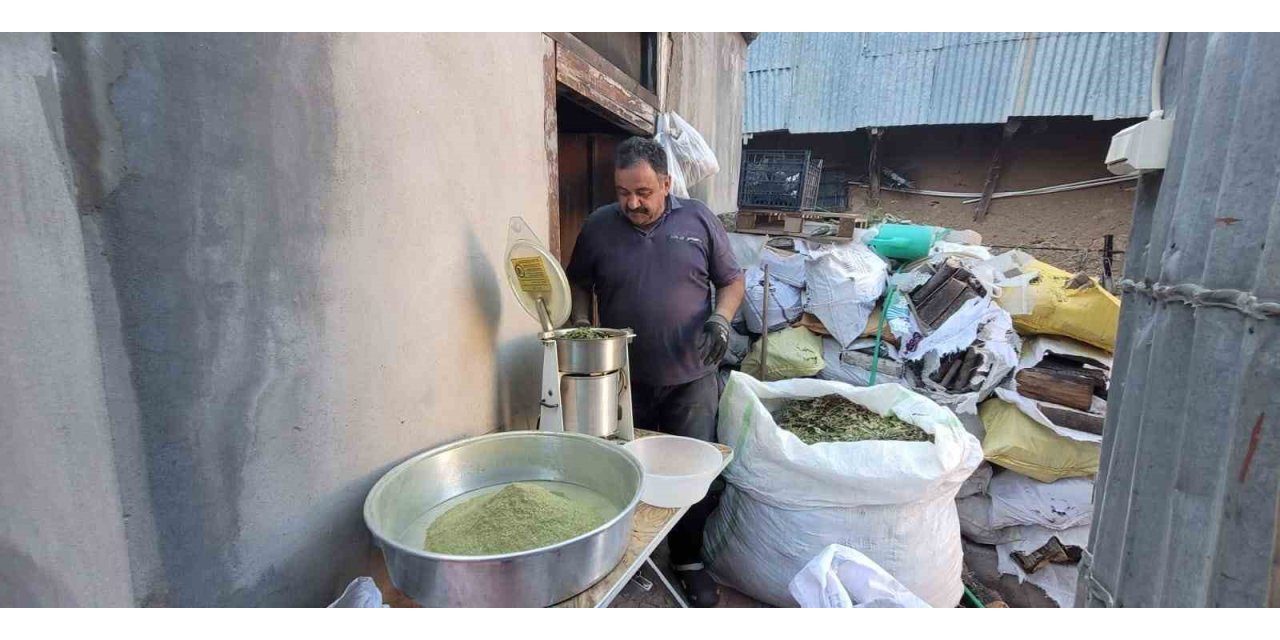 120 çeşit bitkinin karışımıyla elde edilen baharat; Zetrin