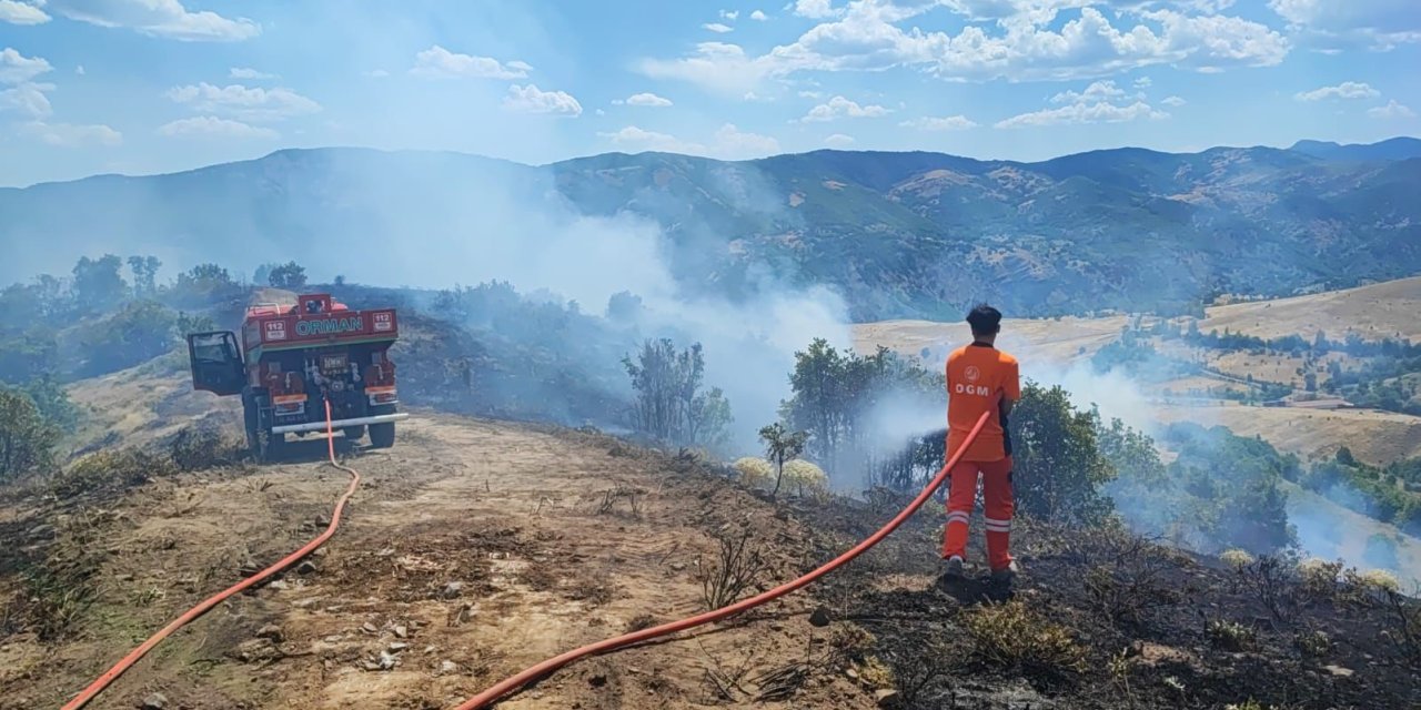 Bingöl Valiliği orman yangınlarına karşı uyardı