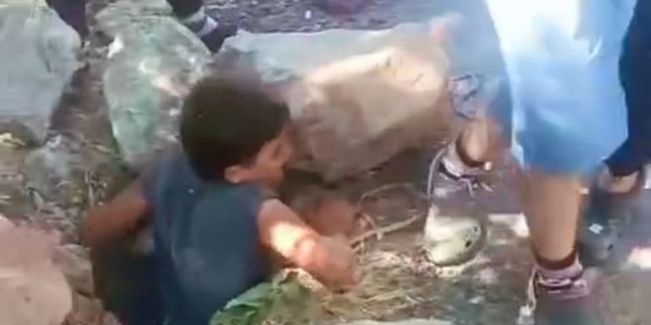 Foseptik çukuruna düşen minik kediyi çocuklar kurtardı