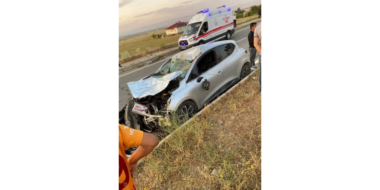 Muş’ta otomobil ineğe çarptı, 1 kişi yaralandı