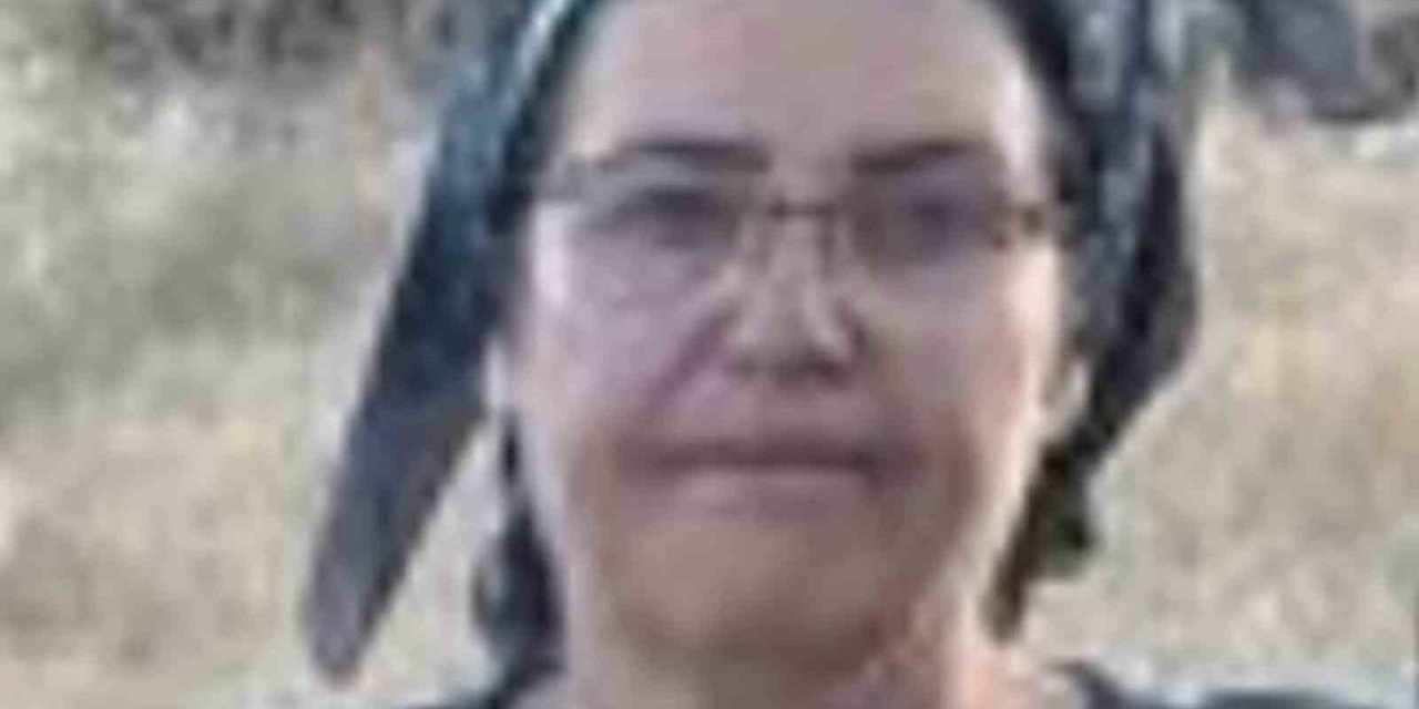 Malatya’da üç çocuk annesi havuzda ölü bulundu