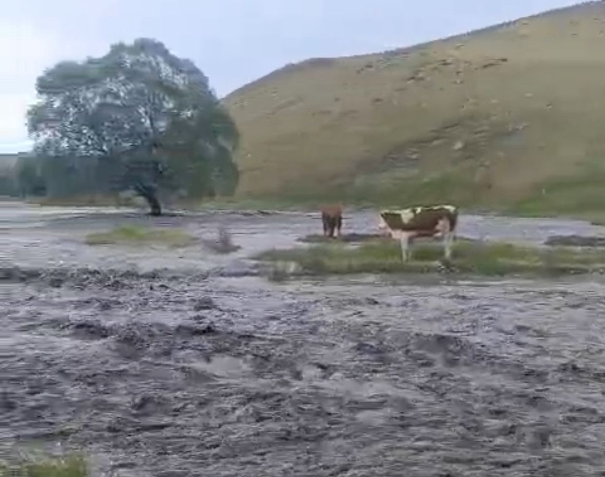 Şiddetli Yağış Sele Dönüştü