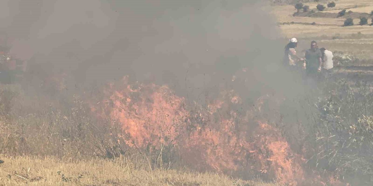 Tatvan’da örtü yangını