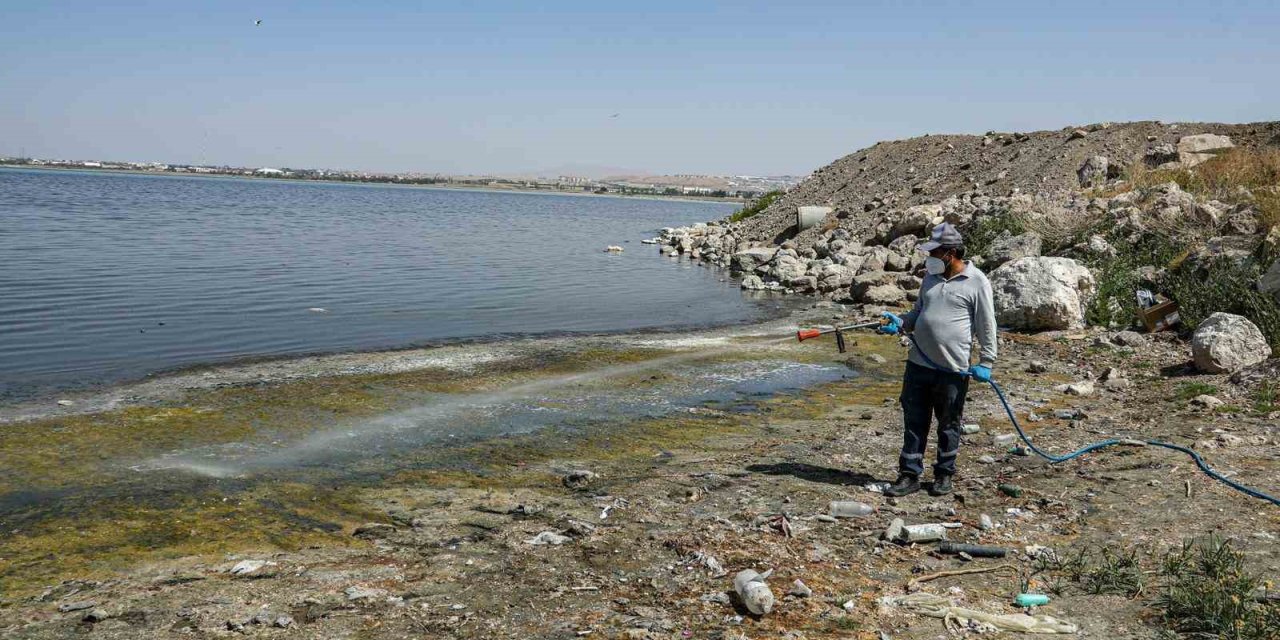 Van’da kent zararlılarına karşı ilaçlama çalışması