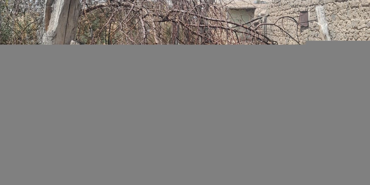 Başkale’de korkutan yangın