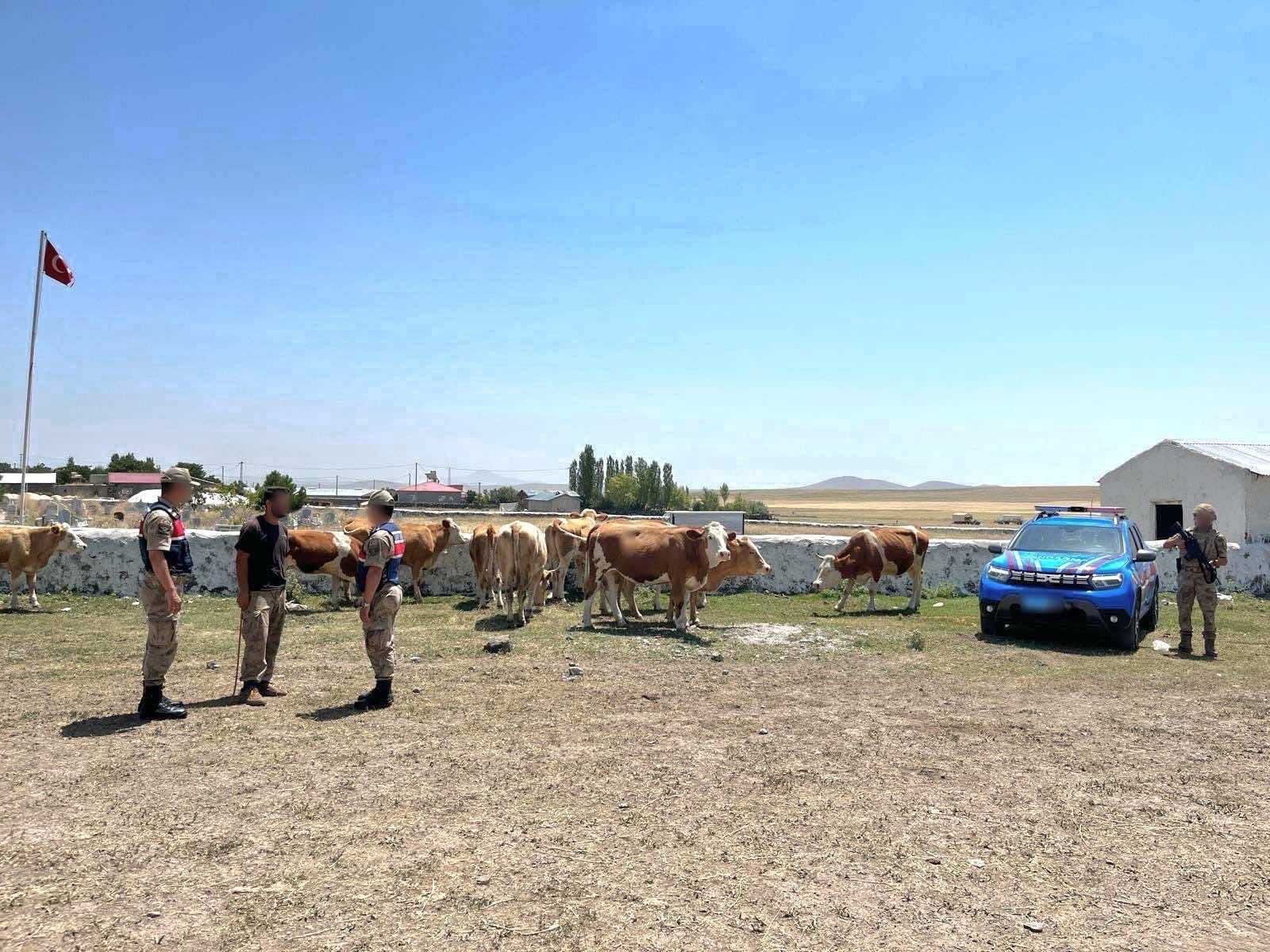 Kars’ta kaybolan hayvanlar bulundu