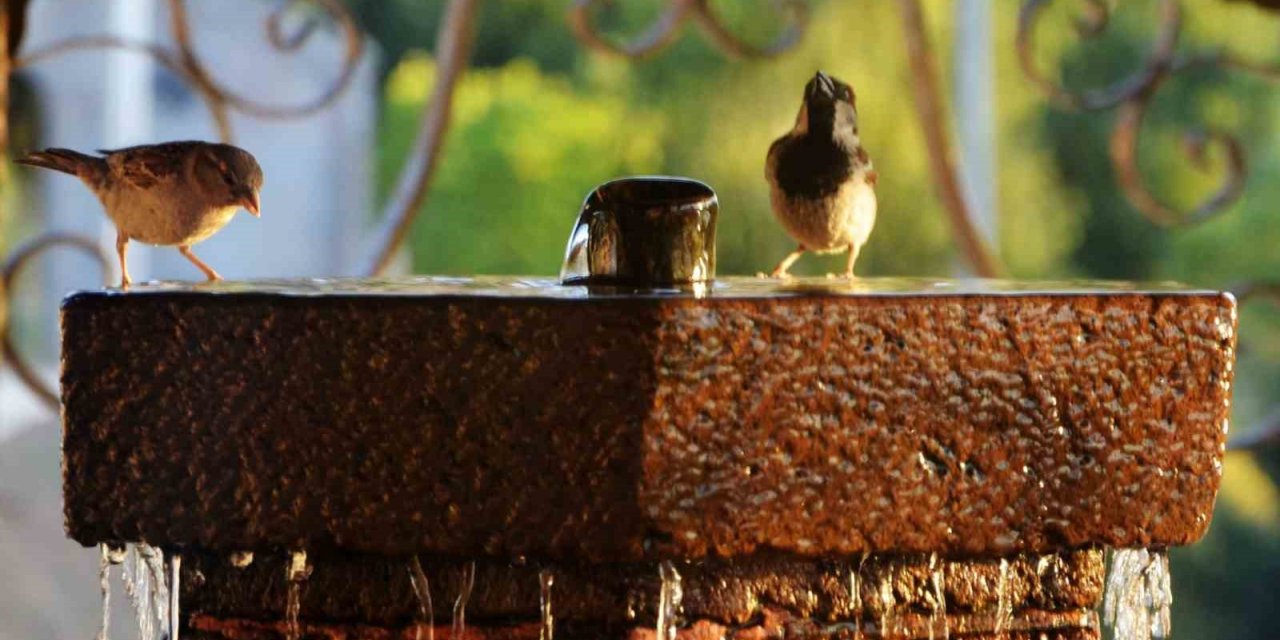 Erzurum ve çevresi için kavurucu sıcaklık uyarısı
