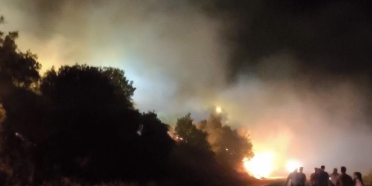 Hakkari-Çukurca karayolu üzerinde orman yangını çıktı