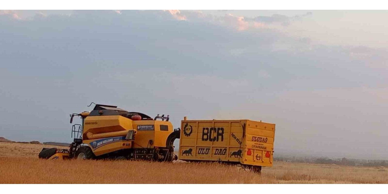 Patnosta buğday hasadı başladı