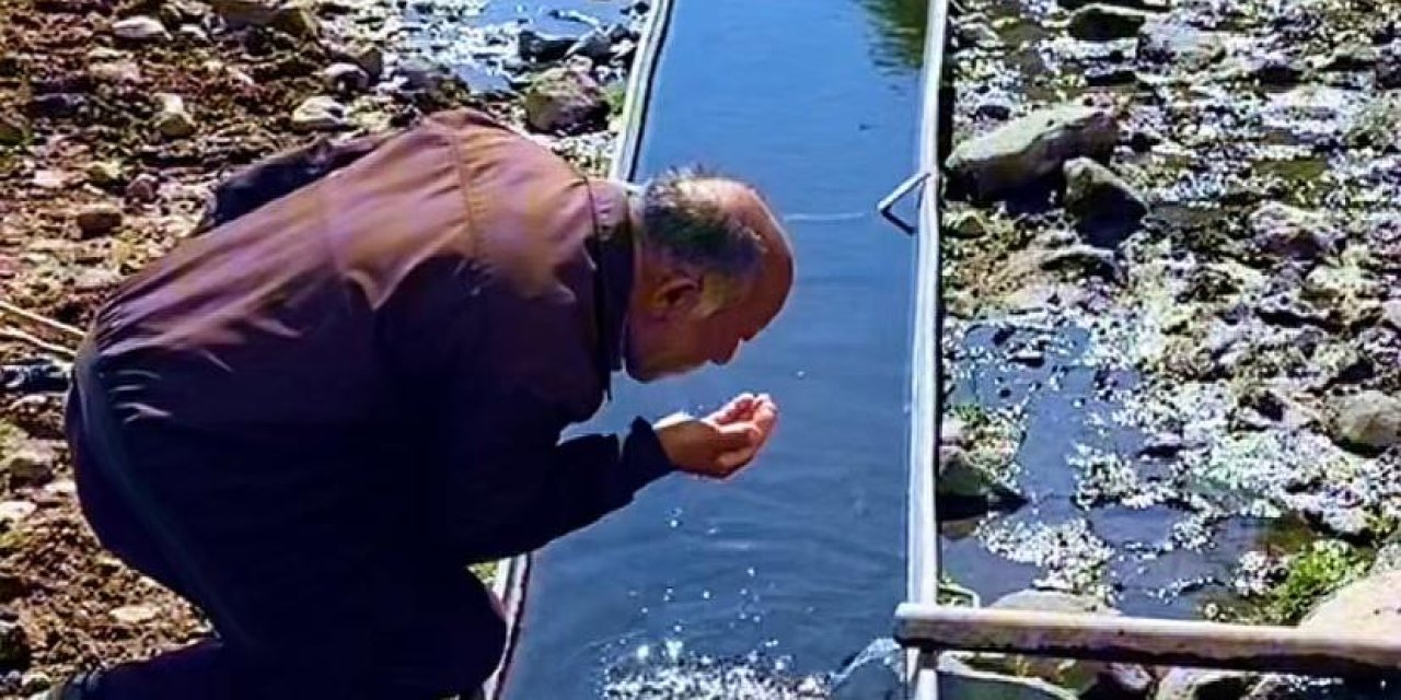 Polat Köyü’nde Doğadan Gelen Hayat