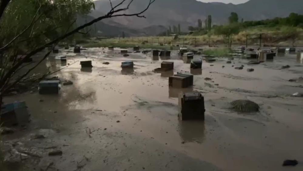 Kars’ta sel felaketi: Arı kovanları sular altında kaldı