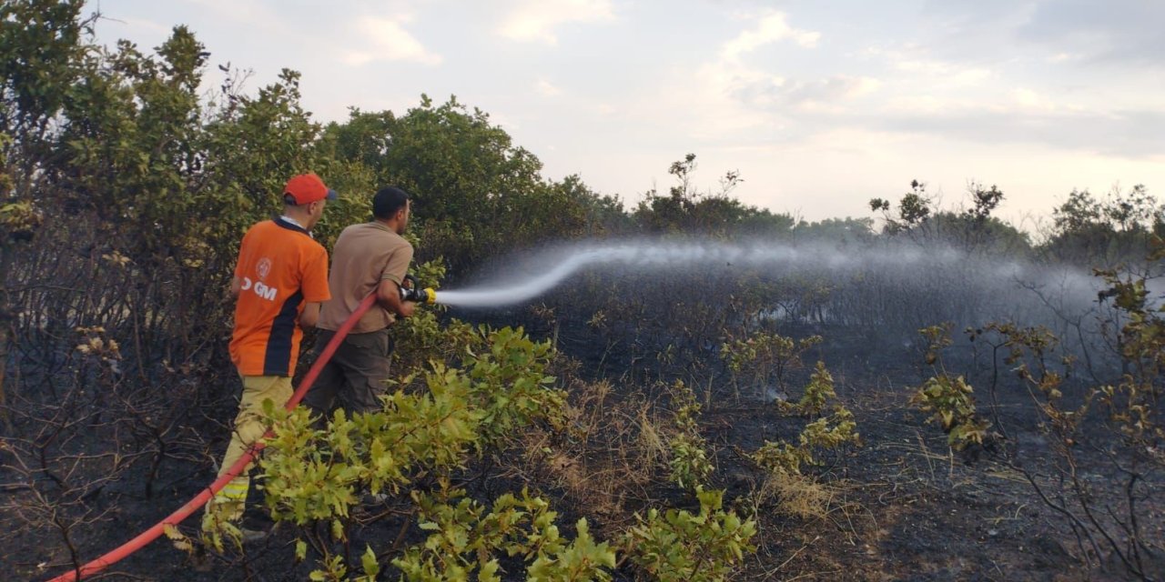 Bingöl’deki orman yangını kontrol altına alındı