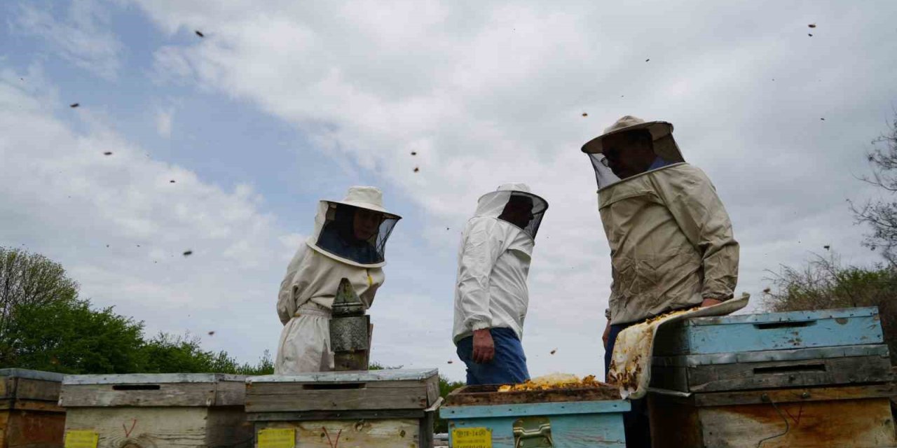 Aşırı sıcaklara karşı arıları koruyun