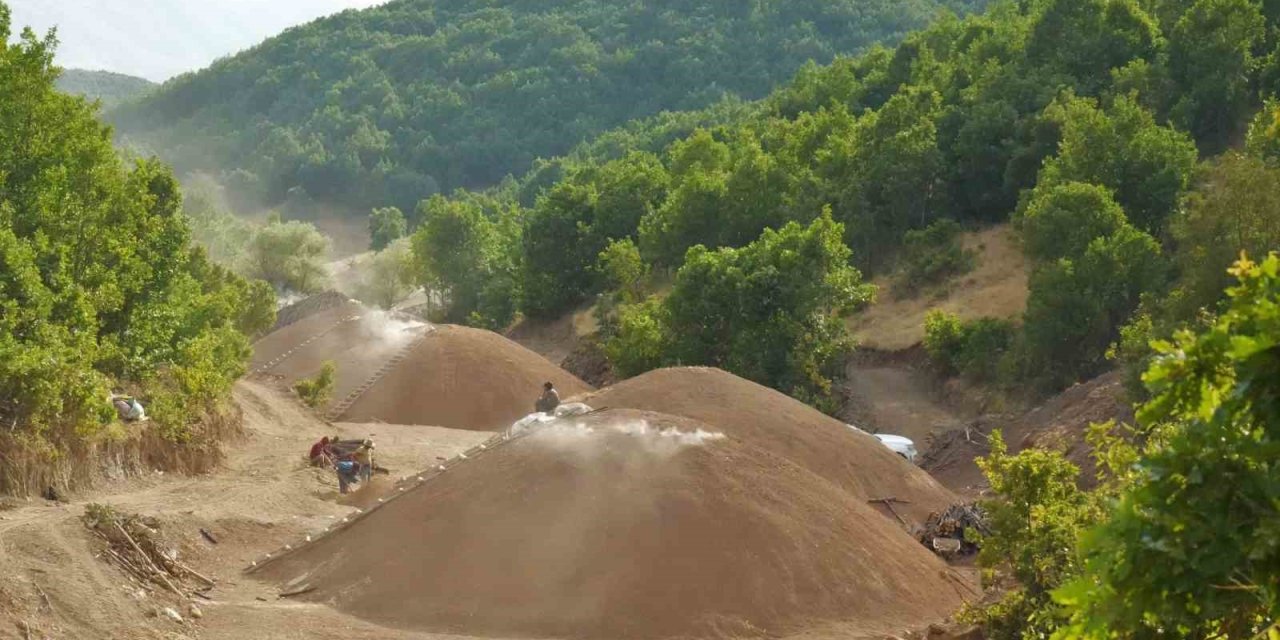 Muş dağlarında mangal kömürü üretimi