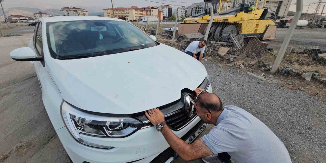 Otomobilin motor bölmesine giren yavru kedi 3 şehir gezdi